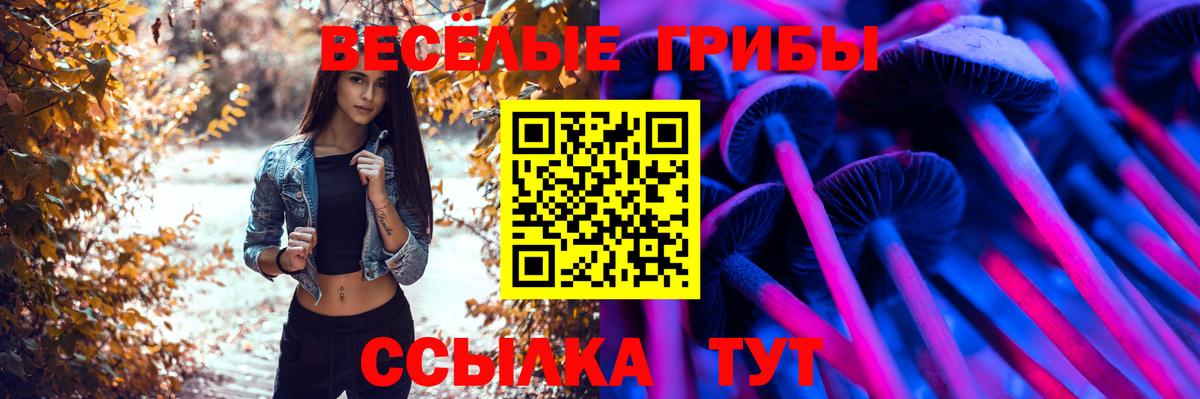 Галлюциногенные грибы Psilocybine cubensis  магазин продажи наркотиков  Кропоткин  Вход с VPN 